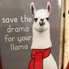 sam_fransen